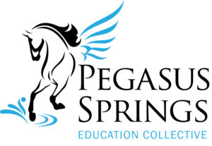 Thanks to Pegasus Springs Education Collective for sponsoring Living the Legacy of METCO 2023!